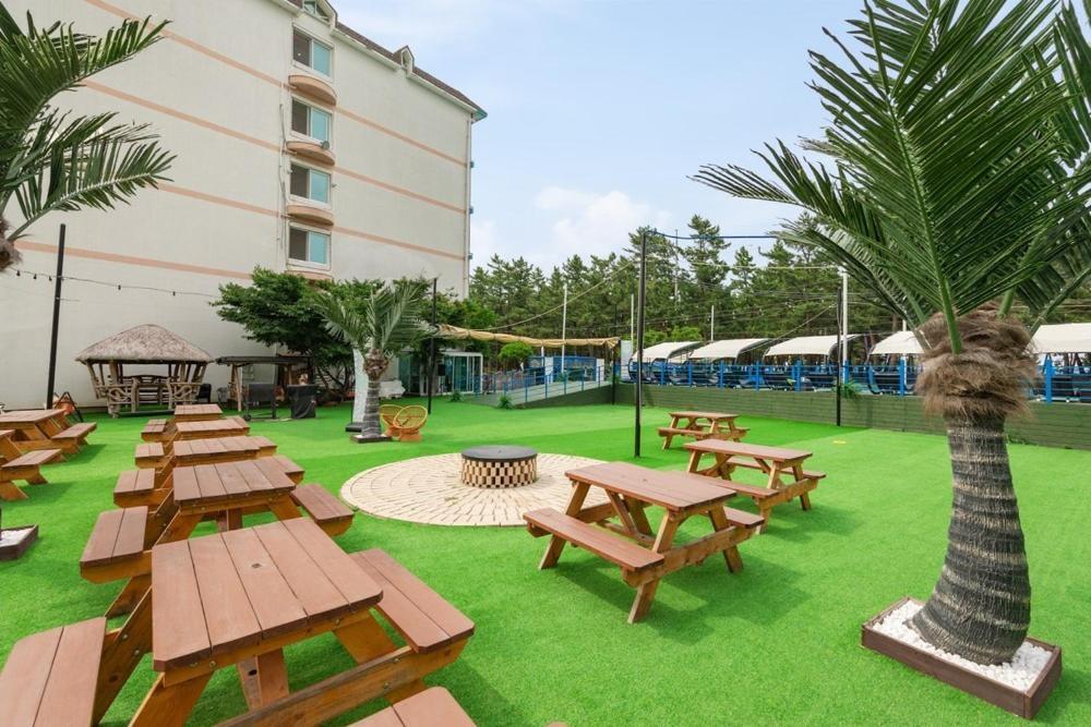 Mung&Surf Hotel Gangneung Ngoại thất bức ảnh