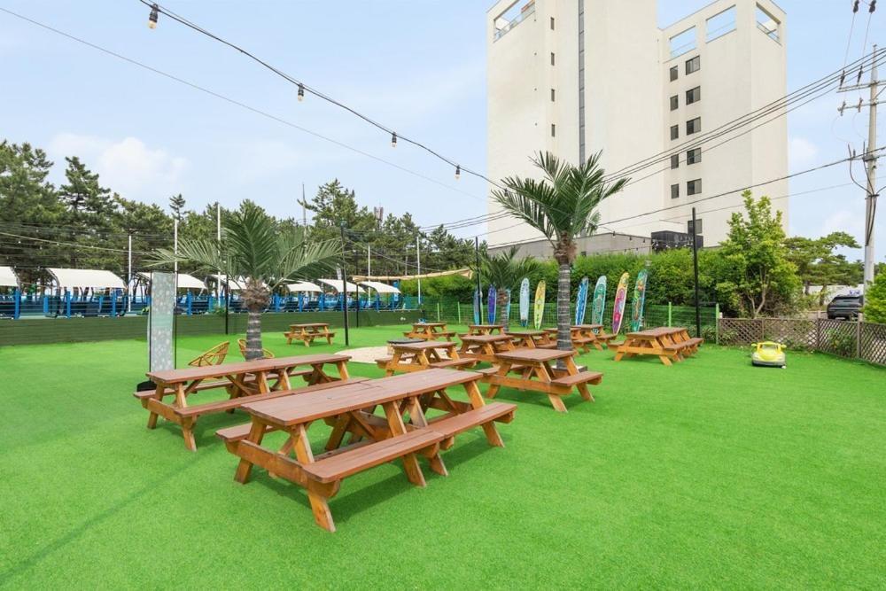 Mung&Surf Hotel Gangneung Ngoại thất bức ảnh